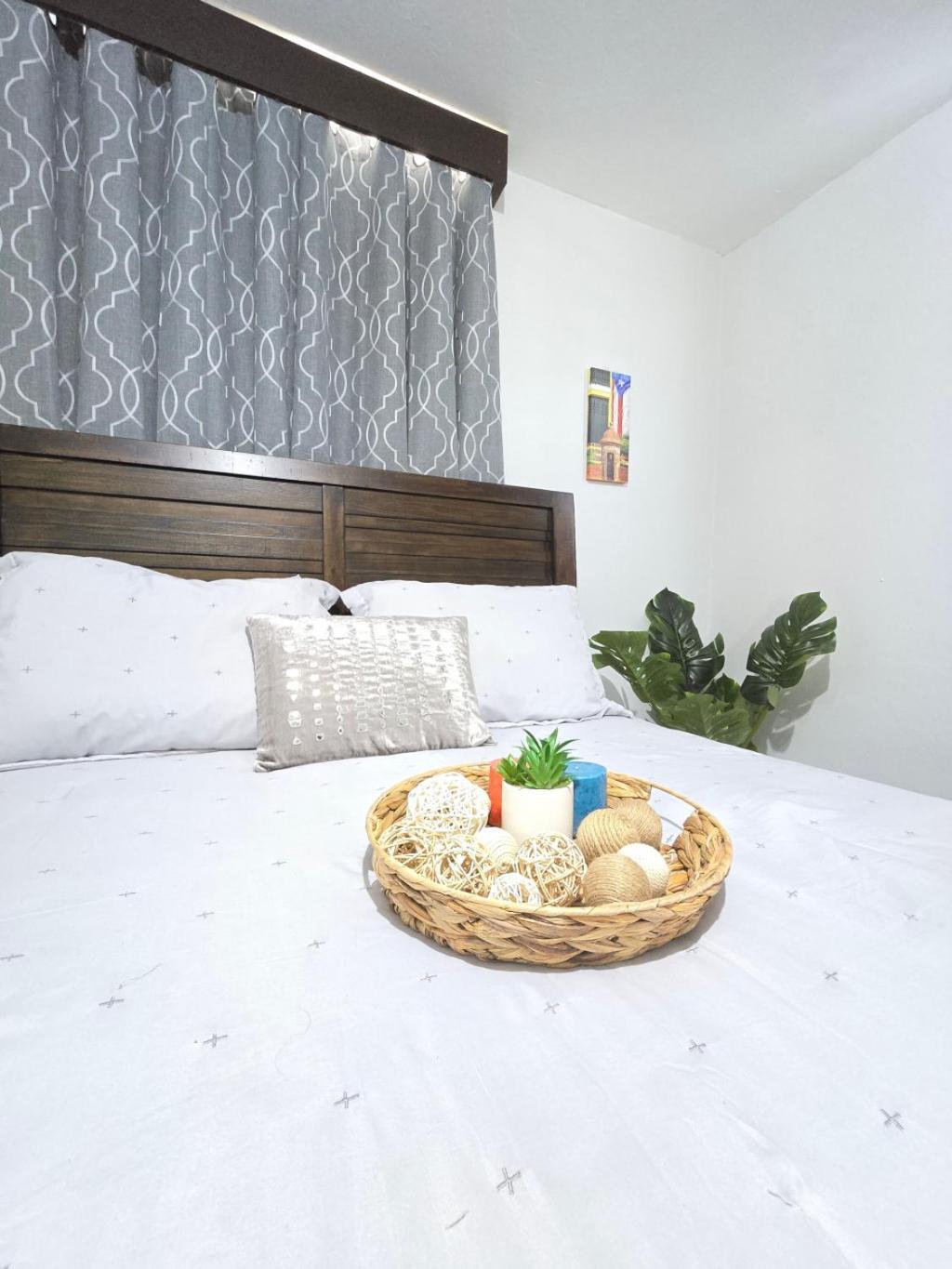 Casa Palmera ベガ・バハ エクステリア 写真