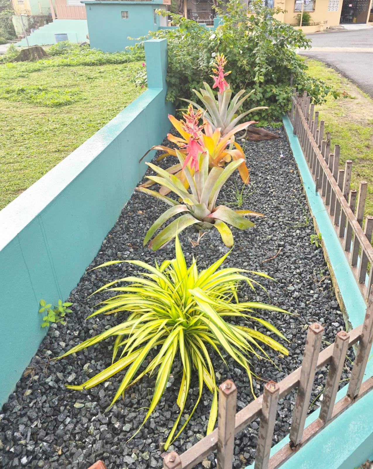 Casa Palmera ベガ・バハ エクステリア 写真
